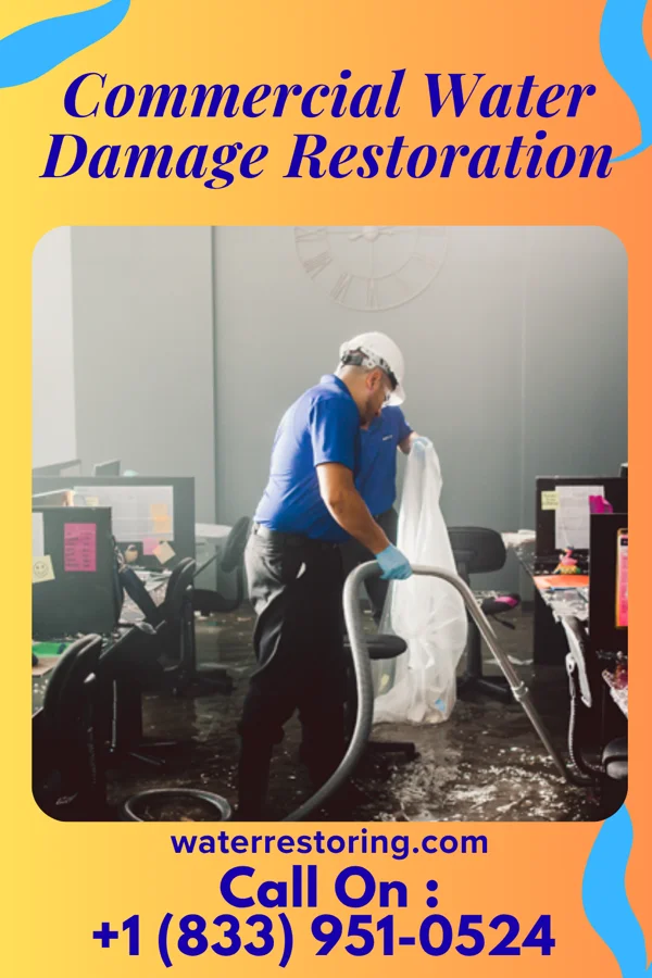 Commercial Water Damage Restoration in Laurel, IN