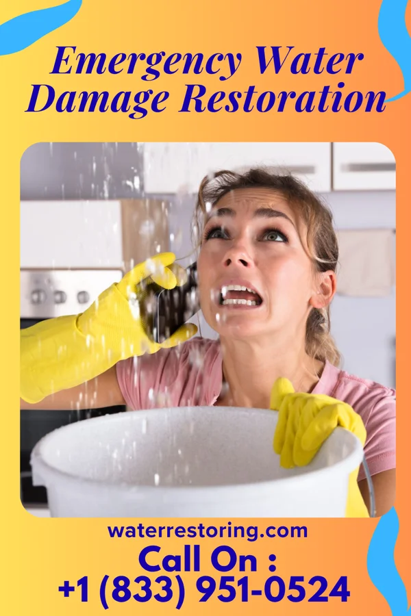 Emergency Water Damage Restoration in Laurel, IN