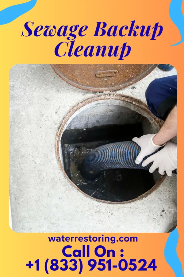 Sewage Backup Cleanup in Laurel, IN