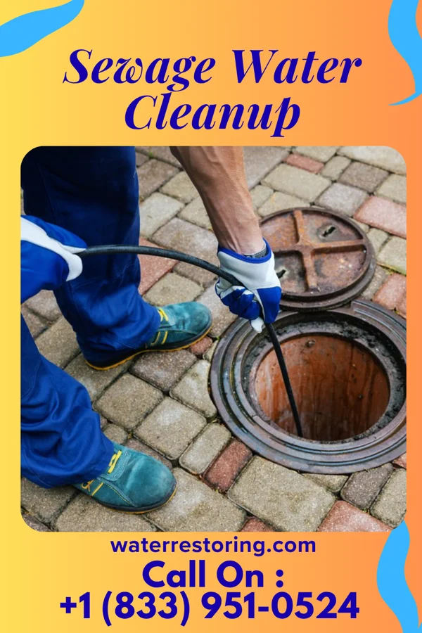 Sewage Water Cleanup in Laurel, IN